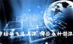 2017年虚拟币市场的飞速上