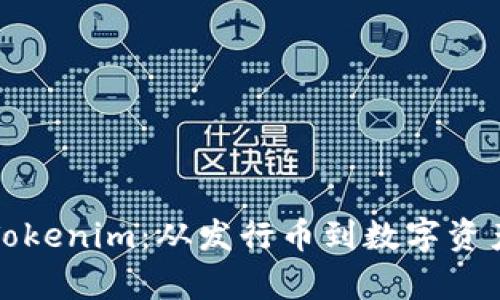 深入理解Tokenim：从发行币到数字资产的新前沿