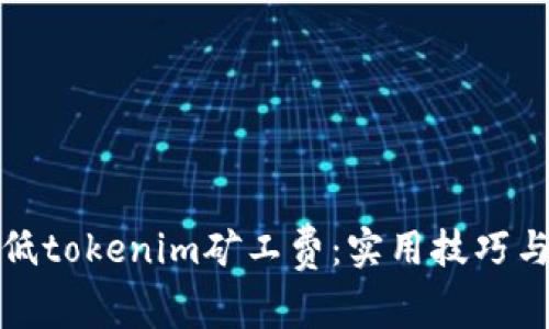 : 如何降低tokenim矿工费：实用技巧与策略指南