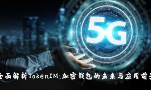 全面解析TokenIM：加密钱包的未来与应用前景
