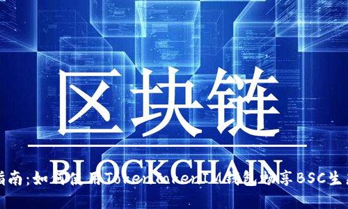 完整指南：如何使用TokenTokenIM钱包畅享BSC生态系统