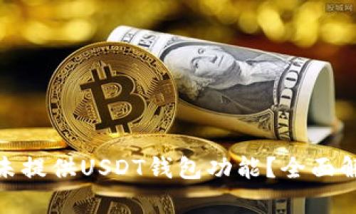 为何Tokenim未提供USDT钱包功能？全面解析及替代方案