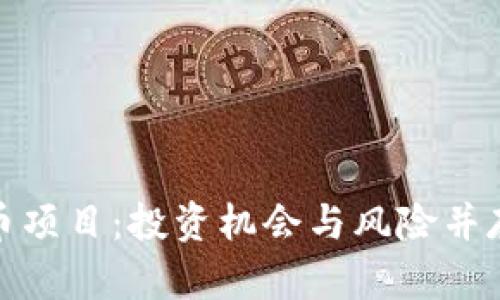 : 全面解析虚拟币项目：投资机会与风险并存的数字资产未来