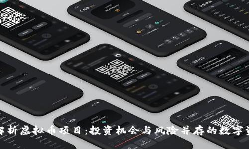 : 全面解析虚拟币项目：投资机会与风险并存的数字资产未来