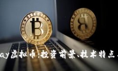 全面解读Bay虚拟币：投资