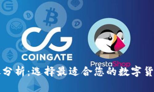 虚拟币钱包详尽分析：选择最适合您的数字货币存储解决方案