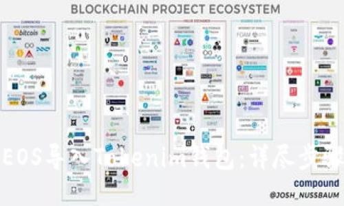 如何将EOS导入Tokenim钱包：详尽步骤与技巧