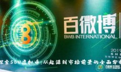 探索SBU虚拟币：从起源到